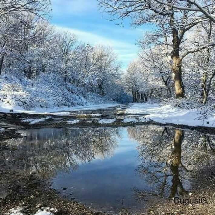 B&B Gennargentu Fonni Bagian luar foto